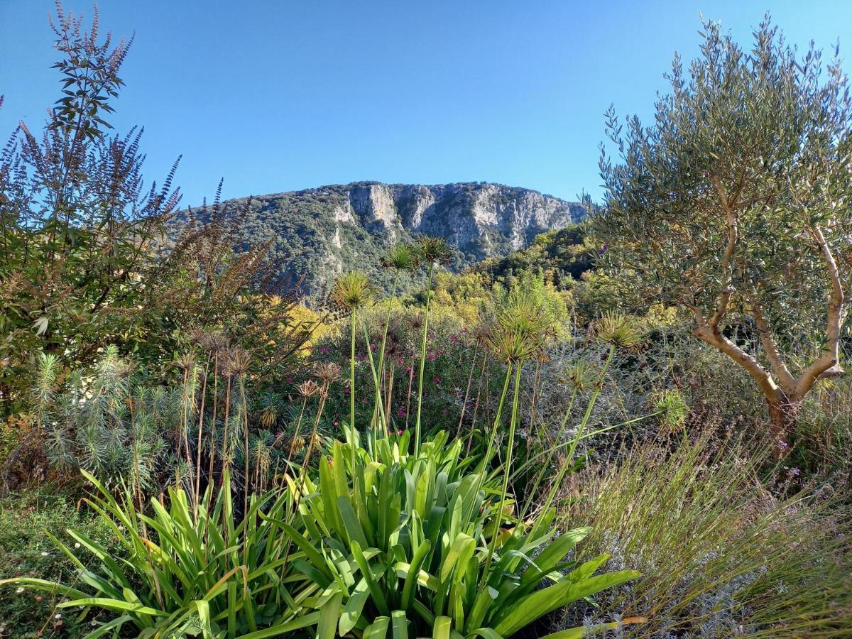 Gîte en Cévennes du sud, bergerie restaurée, 2 à 4 personnes, piscine, vue exceptionnelle, authenticité et confort Saint-Laurent-le-Minier Esterno foto