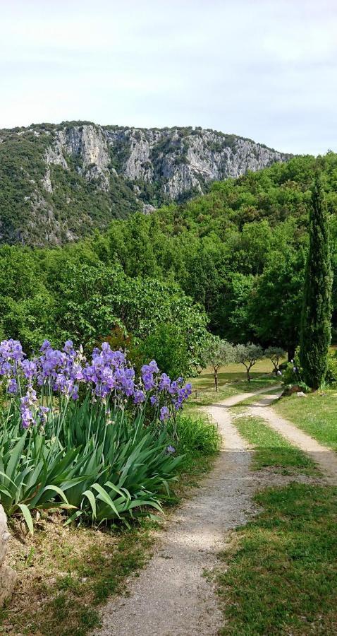 Gîte en Cévennes du sud, bergerie restaurée, 2 à 4 personnes, piscine, vue exceptionnelle, authenticité et confort Saint-Laurent-le-Minier Esterno foto